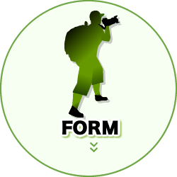 icon_form